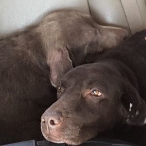 Meet your Posher, Matt